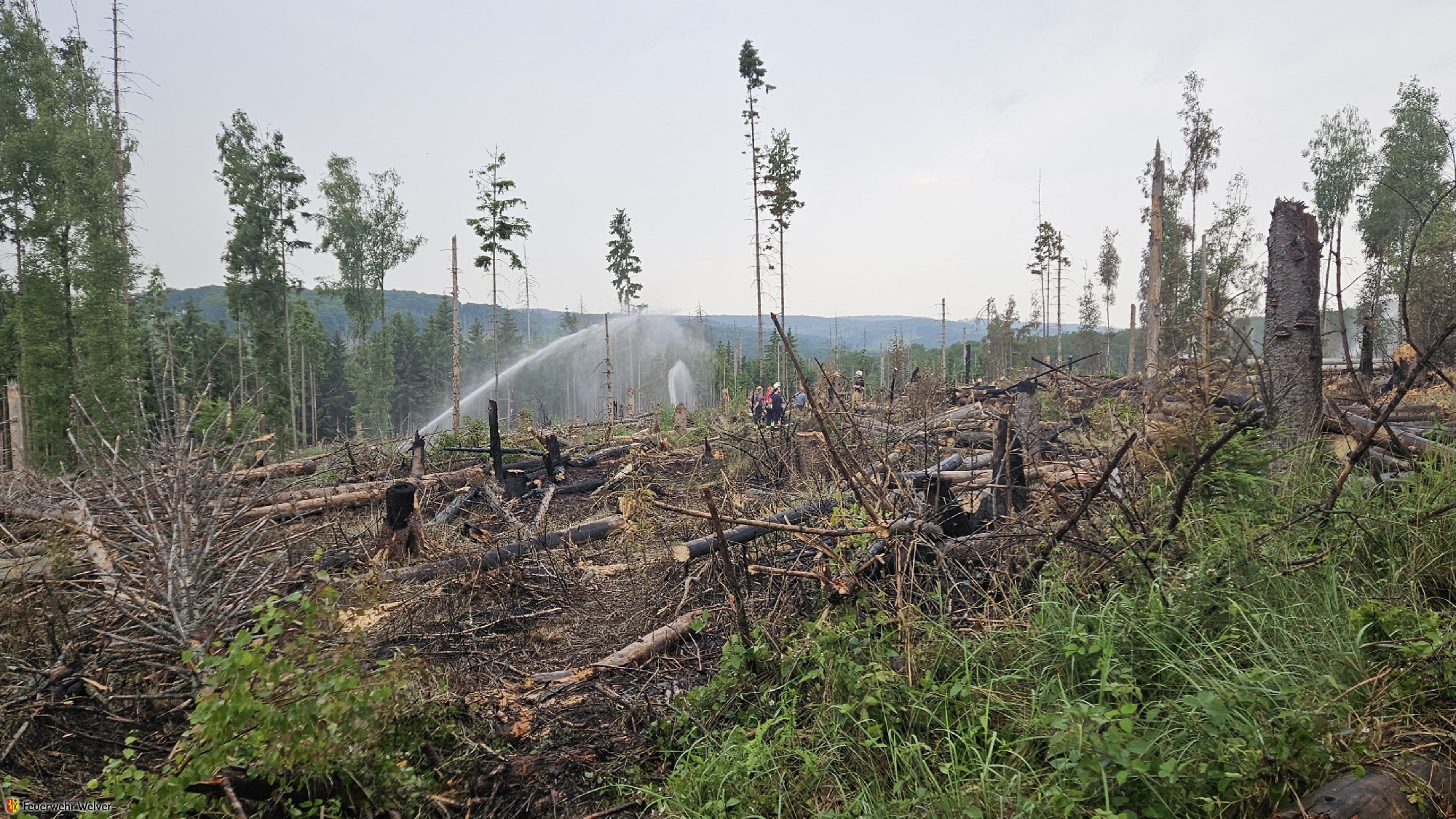 Überörtliche Hilfe bei Waldbrand