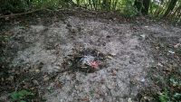 Einsatzfoto