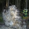 Einsatzfoto