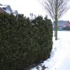 Einsatzfoto