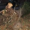 Einsatzfoto