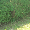 Einsatzfoto